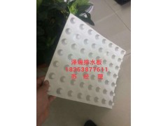 供應%廣州車庫排水板/屋頂蓄排水板廠家