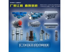 水庫(kù)提水大口徑潛水軸流泵