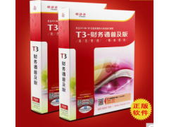 東莞財(cái)務(wù)軟件