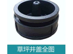 湖北龍康排水系統有限公司草坪井蓋黑色綠色花盆