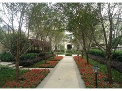 山西晉恒園林景觀工程   小區綠化