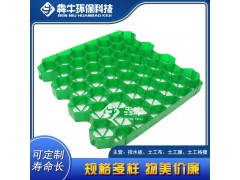 陽江園林護坡綠化植草格規格齊全