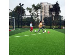 萊蕪 勾花護(hù)欄網(wǎng) 球場圍網(wǎng) 直接供工廠