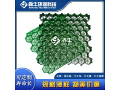 桂林隱形消防通道HDPE護坡植草格質量可靠