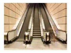 山東鼎亞電梯專業(yè)生產(chǎn)銷售客用電梯手扶梯