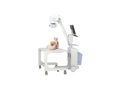 寵物DR機選購時主要看哪些要素