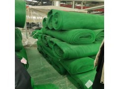 三維植被網綠化護坡響當當