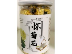 河南溫縣懷菊花