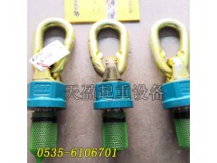 TP0.7德國JDT萬向吊環(huán)M10x18,萬向吊環(huán)質(zhì)保1年