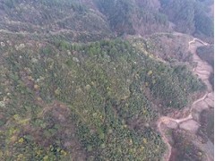 浙江眾扶農(nóng)業(yè)，湖州眾扶發(fā)展，湖州茶園加盟，浙江茶山加盟