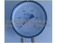 雙針壓力表  壓力表