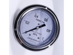 供應 Y-153-B-FZ不銹鋼耐振軸向真空壓力表