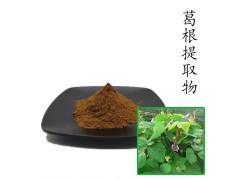 葛根提取物10:1 散裝濃縮粉