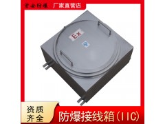 防爆接線箱 防爆防腐接線箱 增安型防爆撓性管防爆配電箱