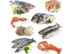 福鄰鮮肉制品專用保水劑廠家直供