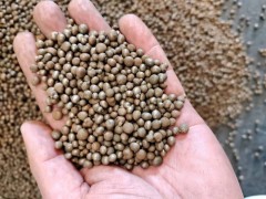 解決壓箱配重難題！3-6mm鋼丸-機(jī)械底座/船舶壓艙選