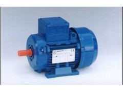 意大利BRONZONI電機