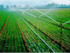 大田作物、草坪、花卉、苗圃、果樹及溫室大棚噴灌設備生產廠家