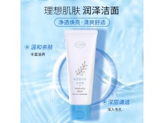 元氣地帶美妝溫和氨基酸潔面膏控油平衡新選擇補水保濕新體驗