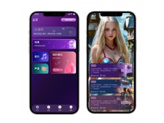 智能情趣產品解決方案，降低技術風險，快速提升品牌競爭力