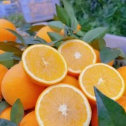 果農(nóng)直供臍橙，江西贛州安遠(yuǎn)臍橙，贛南臍橙