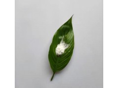 定制偶聯(lián)劑改性高純3N納米級(jí)氧化鎂粉末